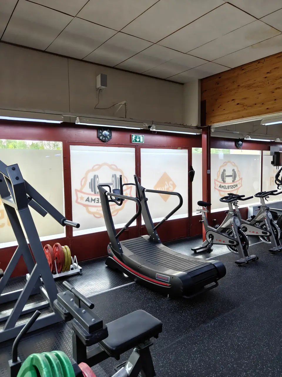 Cardio area: a treadmill and exercise bikes in front of the windows