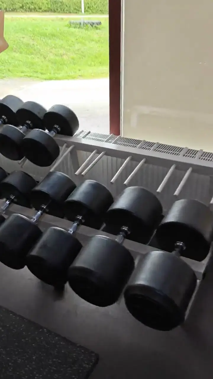 Free weights area: a row of dumbbells by the window
