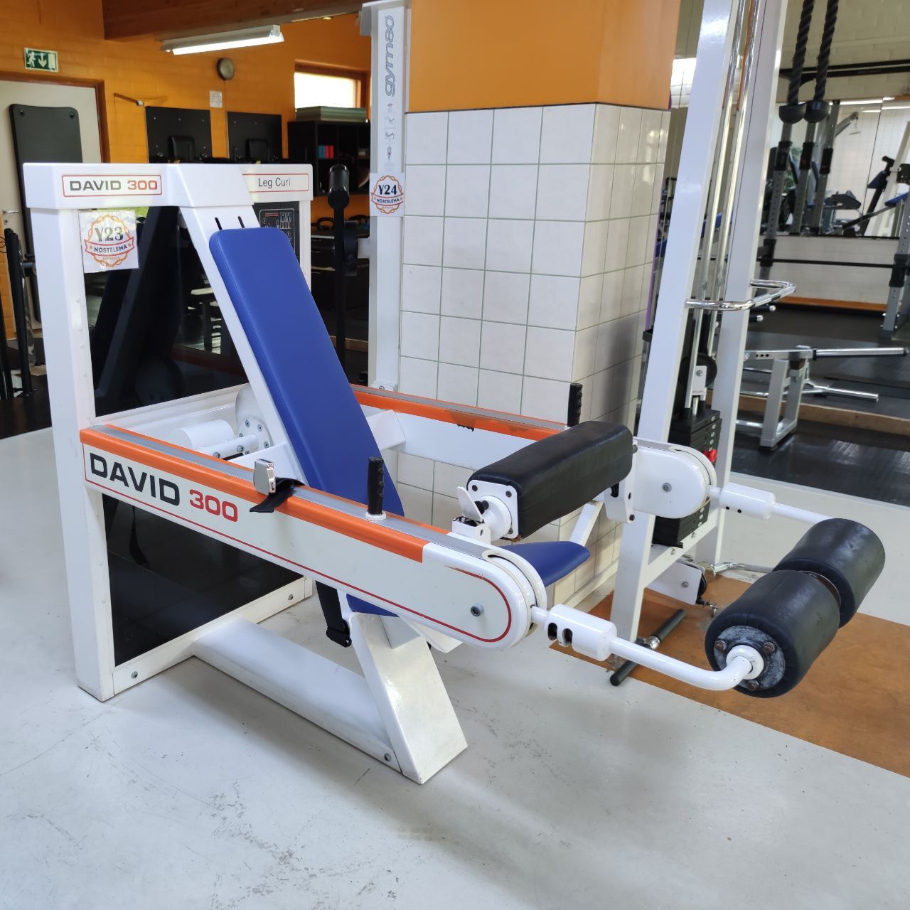 David 300 leg curl machine at Nostelema