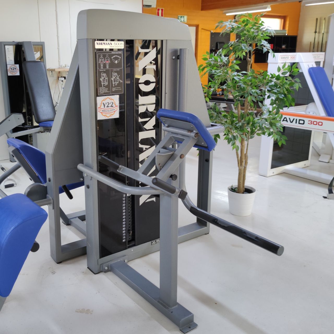 Normann glute kickback machine: chest support, handles and a lever arm with a foot pad