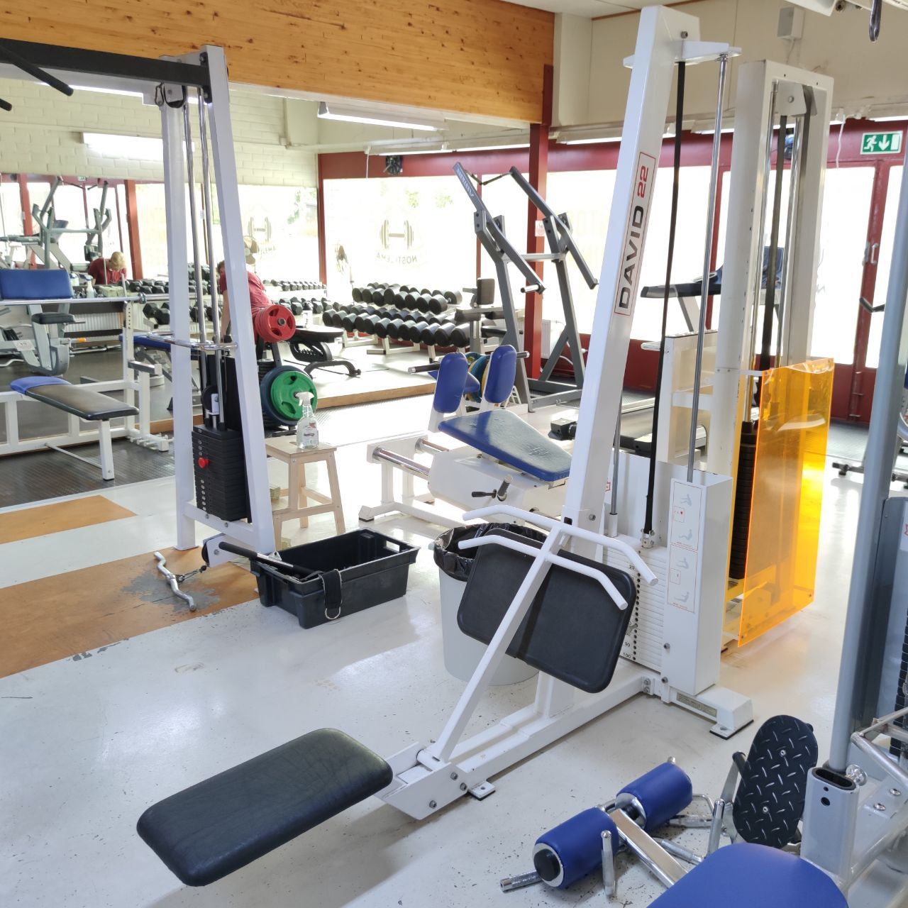 White David low row machine: seat, chest support and a fixed handle
