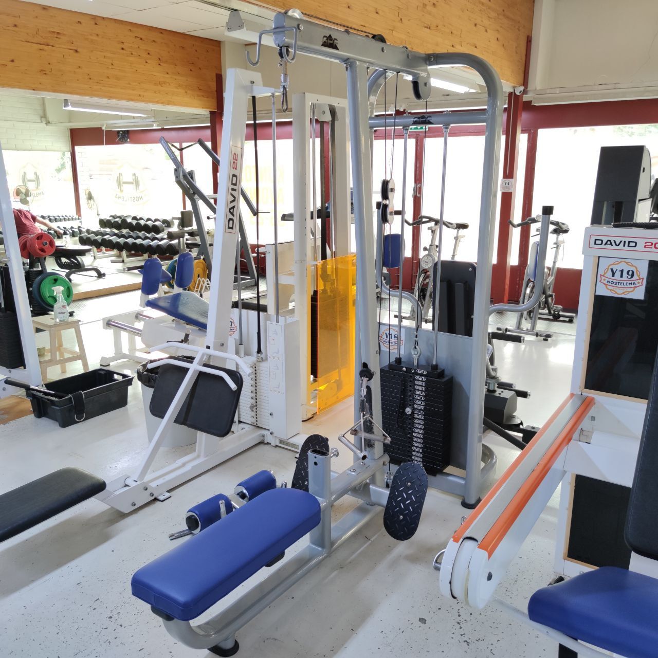 David cable machine and dumbbells at Nostelema