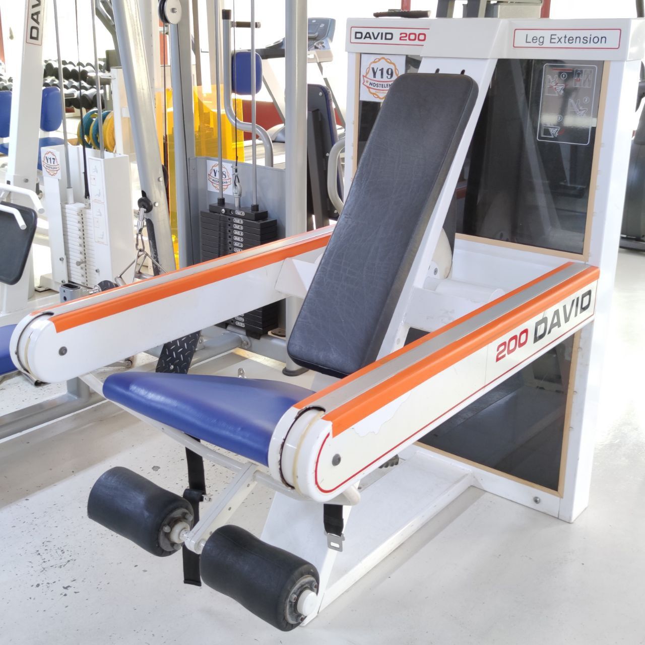 David 200 leg extension machine at Nostelema