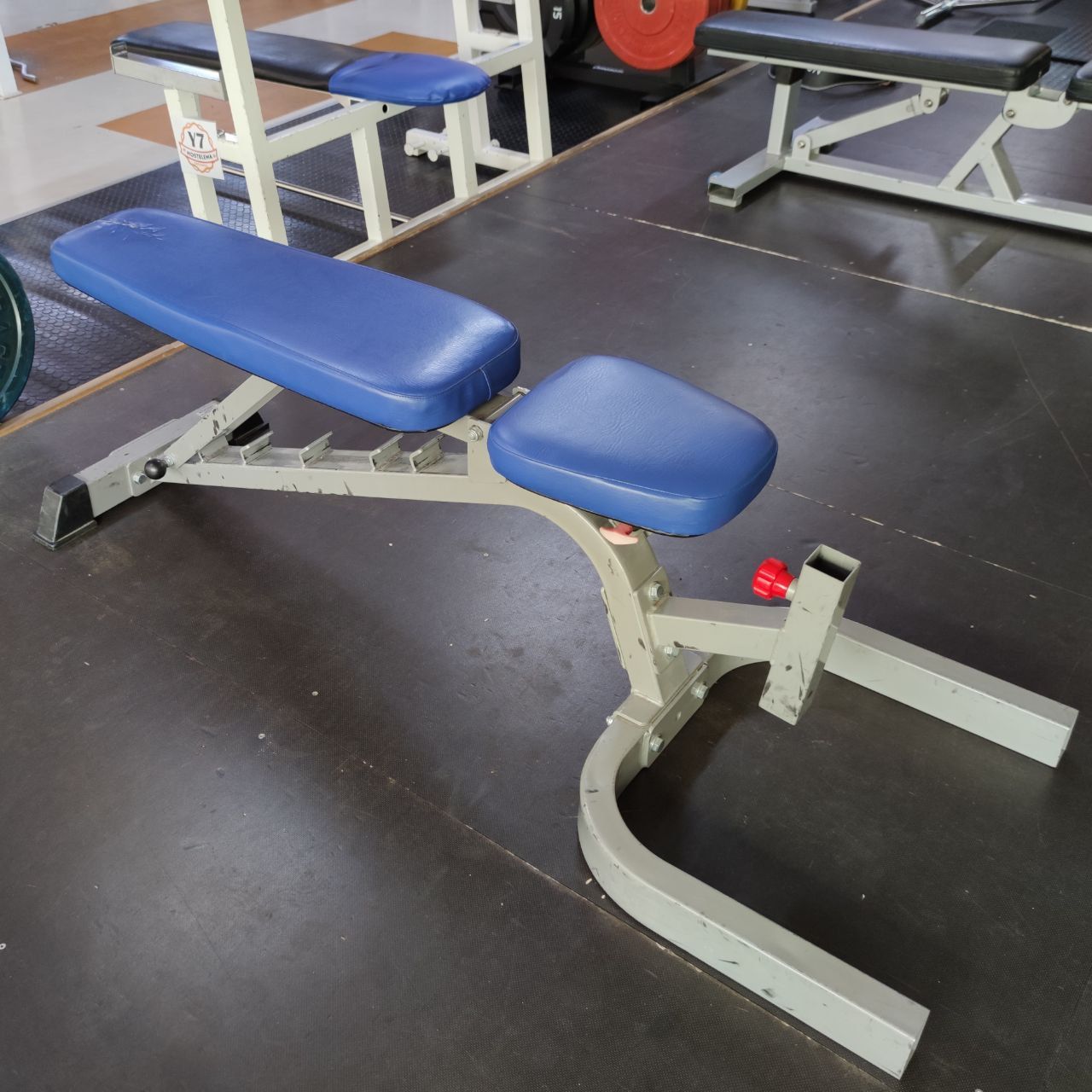 Blue-padded adjustable bench with the backrest and seat tilted