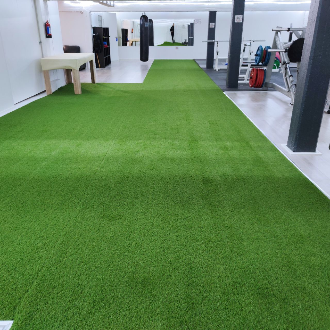 Functional training area with an artificial turf surface at Nostelema