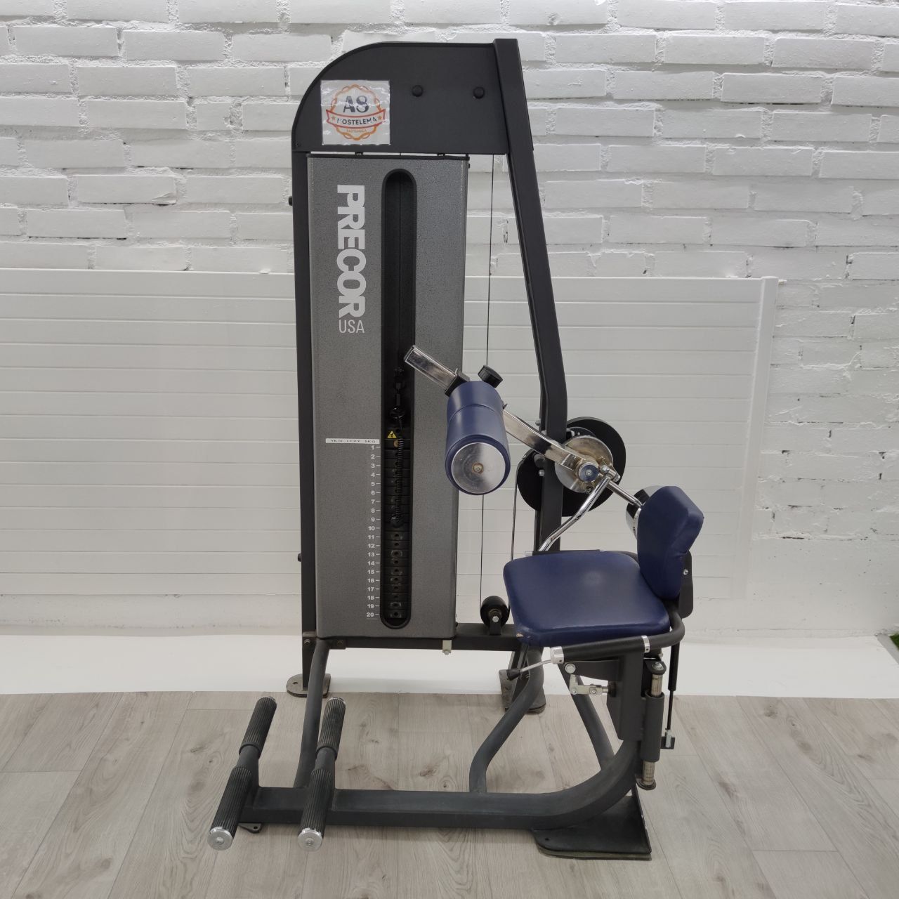 Precor back extension machine: seat, back support, thigh support and foot supports