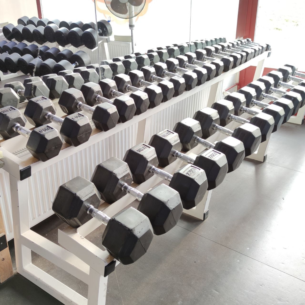 Dumbbell rack (hex dumbbells) at Nostelema