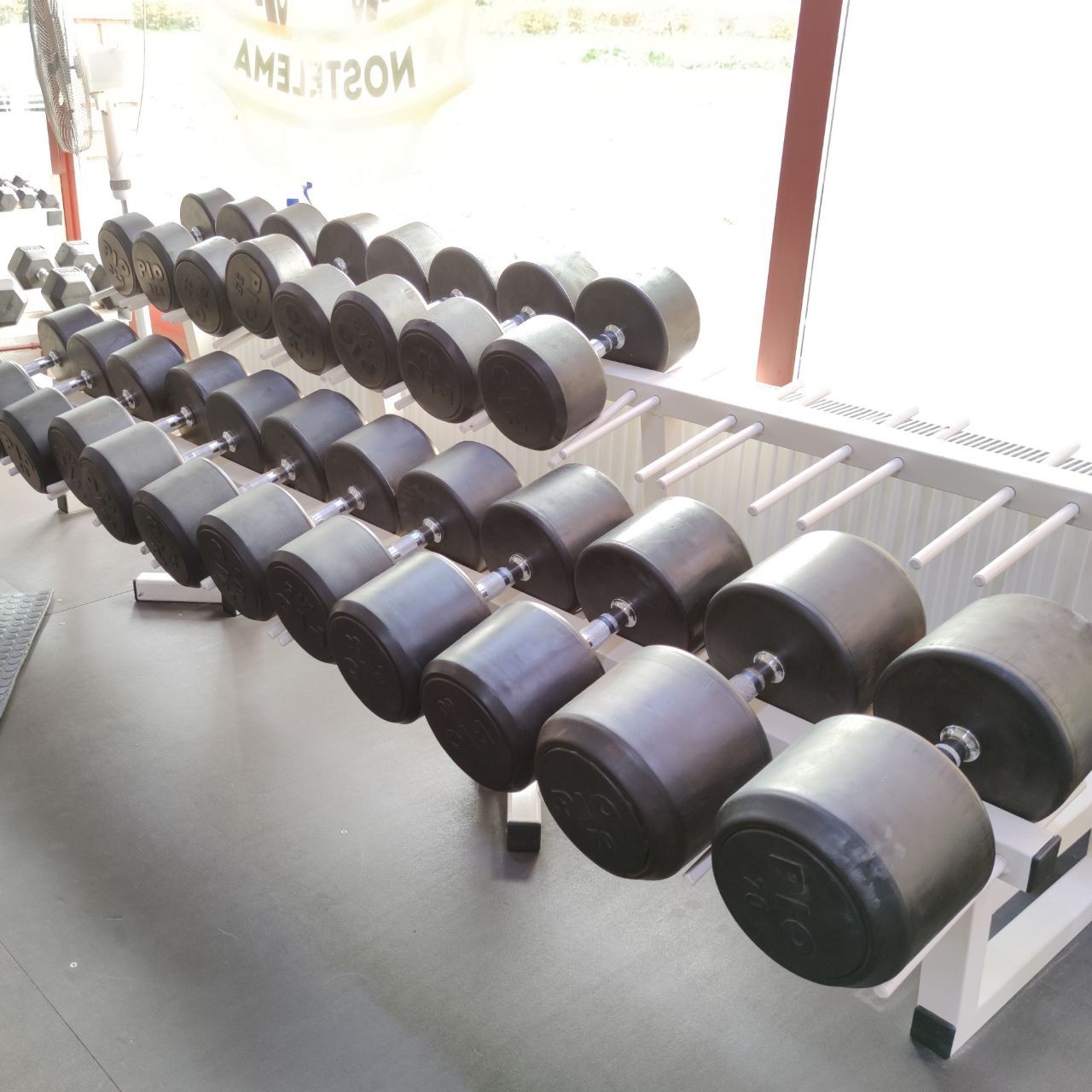 Dumbbell rack (round professional dumbbells) at Nostelema
