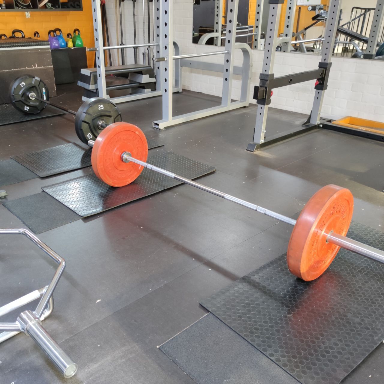 Barbell and bumper plates in the squat and deadlift area at Nostelema