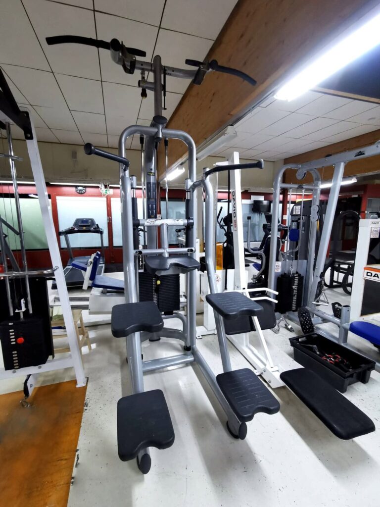 Avustettu leuanveto- ja dippilaite painopakalla Nostelemassa